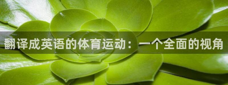 MK体育官方正版app娱乐首页官网下载:翻译成英语的体育运动