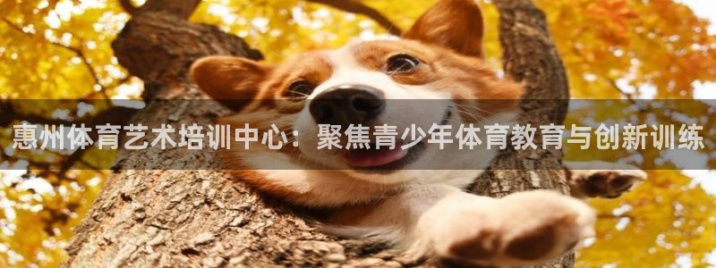 MK体育官网下载招商电话地址:惠州体育艺术培训中心:聚焦青少