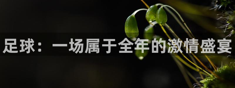 MK体育官网下载官方客服电话:足球:一场属于全年的激情盛宴